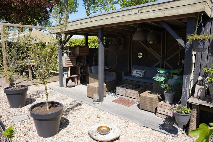 Foto 49 van Boogschutter 12