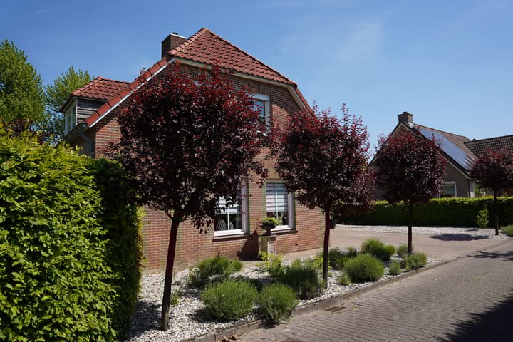 Foto 56 van Boogschutter 12