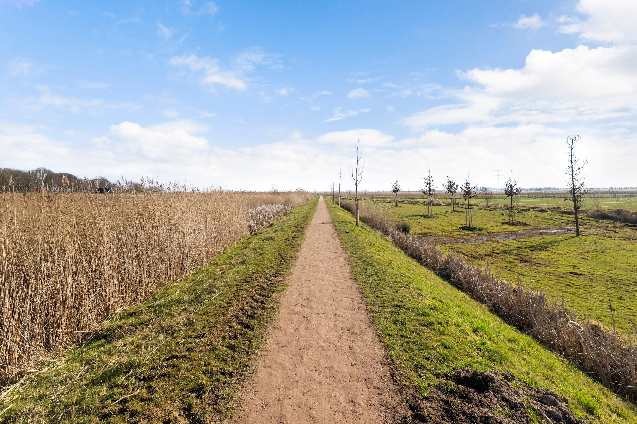 Photo 24 of Cannenburg 87