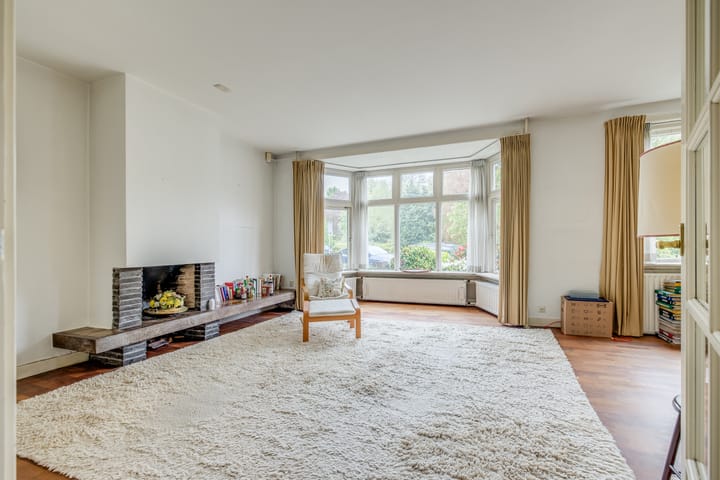 Foto 12 van Wilhelminapark 63