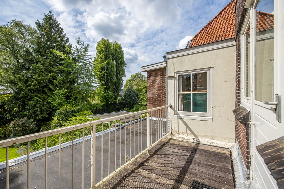 Foto 31 van Wilhelminapark 63