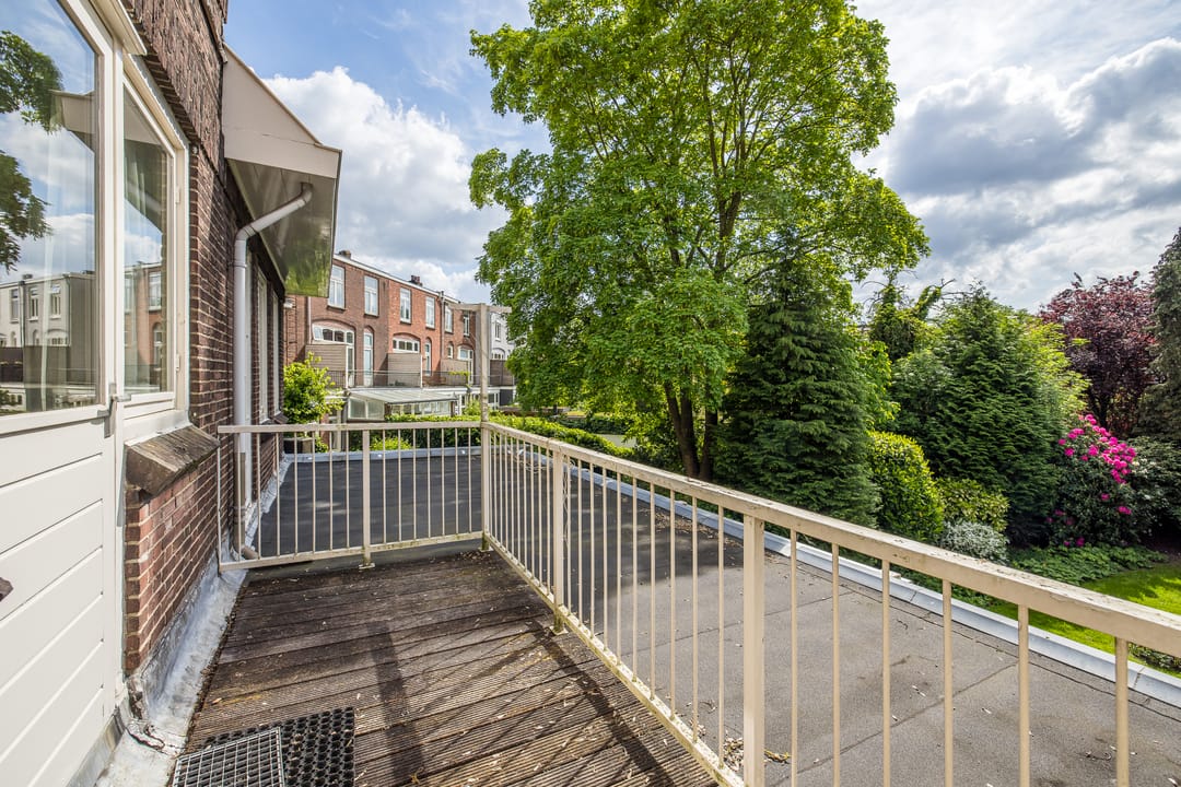 Foto 32 van Wilhelminapark 63