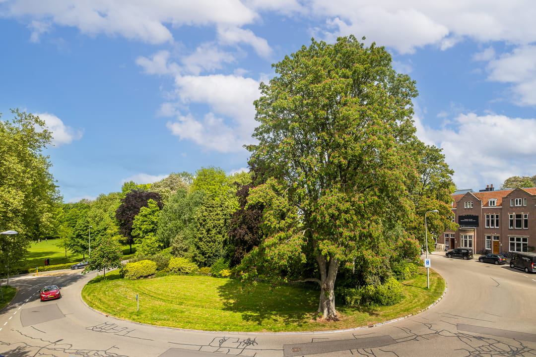 Foto 38 van Wilhelminapark 63