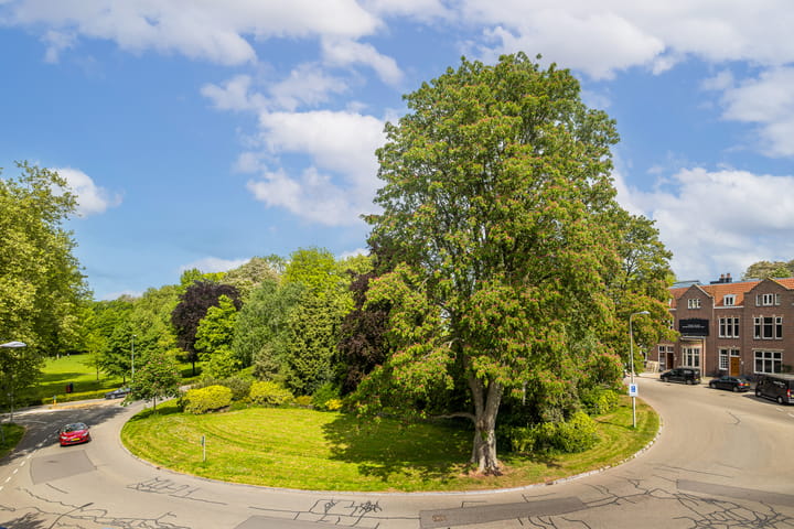 Foto 38 van Wilhelminapark 63