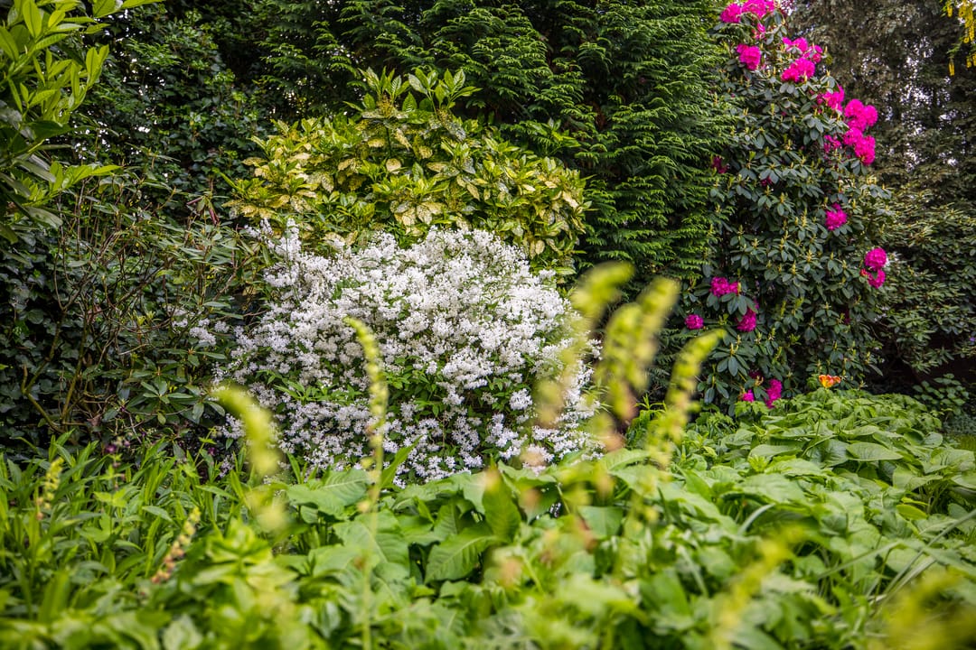 Foto 46 van Wilhelminapark 63