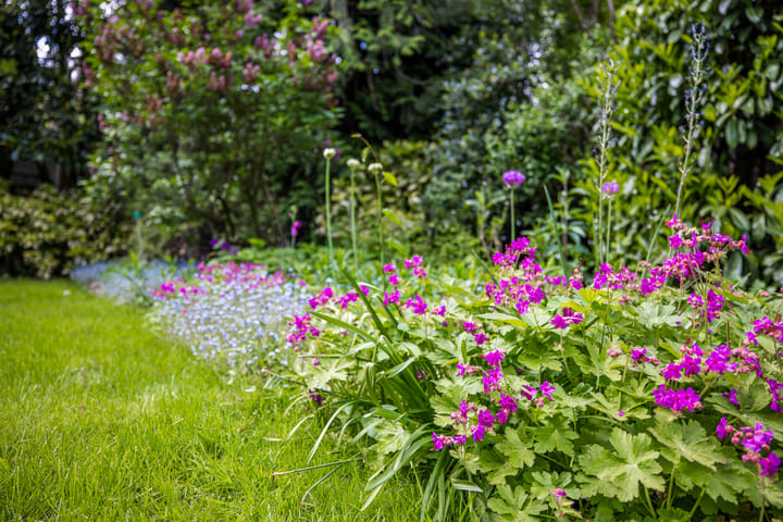 Foto 48 van Wilhelminapark 63