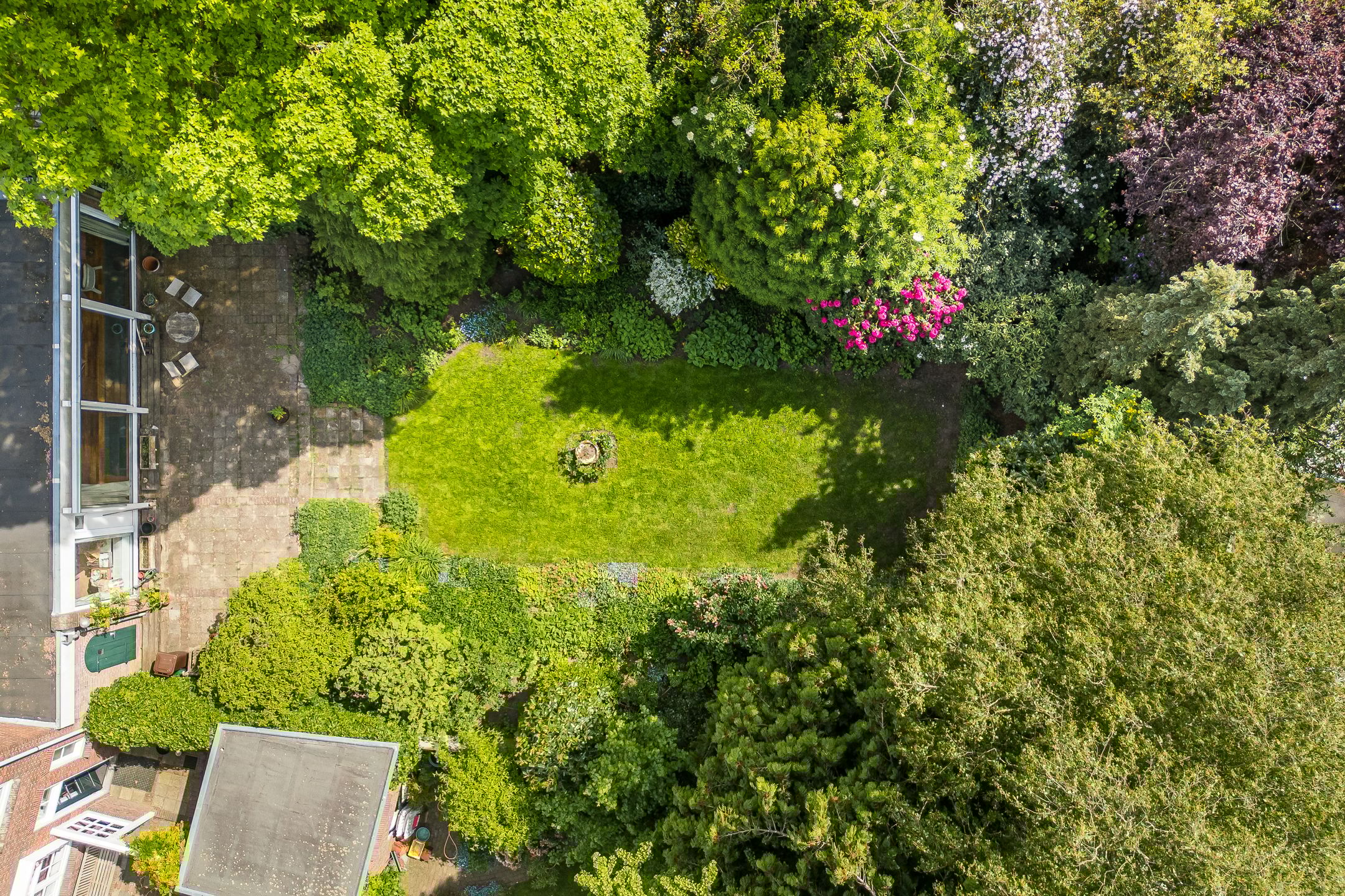 Foto 51 van Wilhelminapark 63