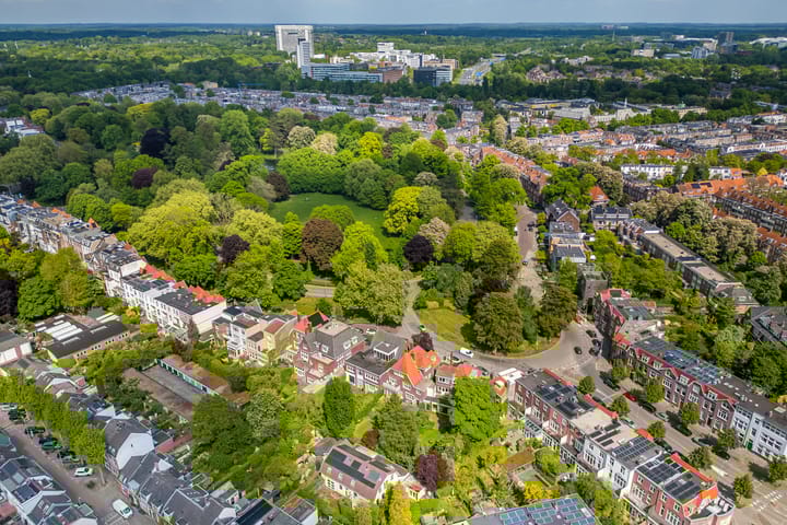 Foto 54 van Wilhelminapark 63