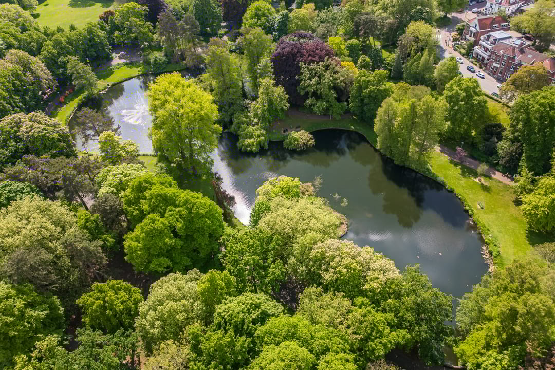 Foto 56 van Wilhelminapark 63