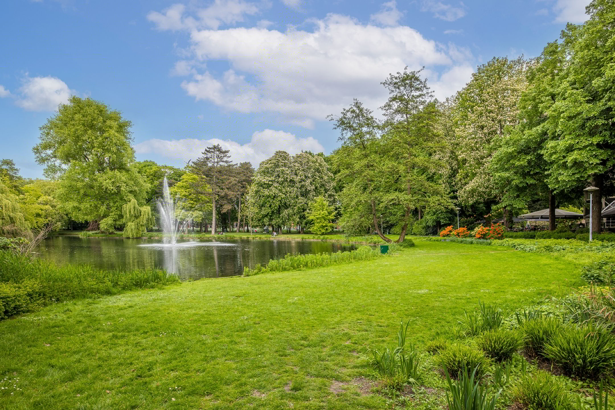 Foto 57 van Wilhelminapark 63