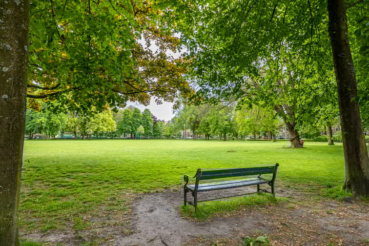 Foto 60 van Wilhelminapark 63