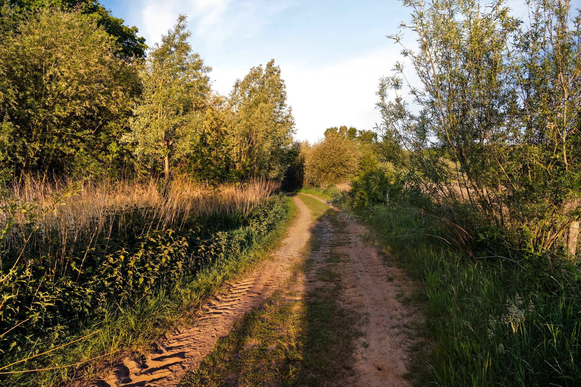Foto 54 van Baarslagweg 2