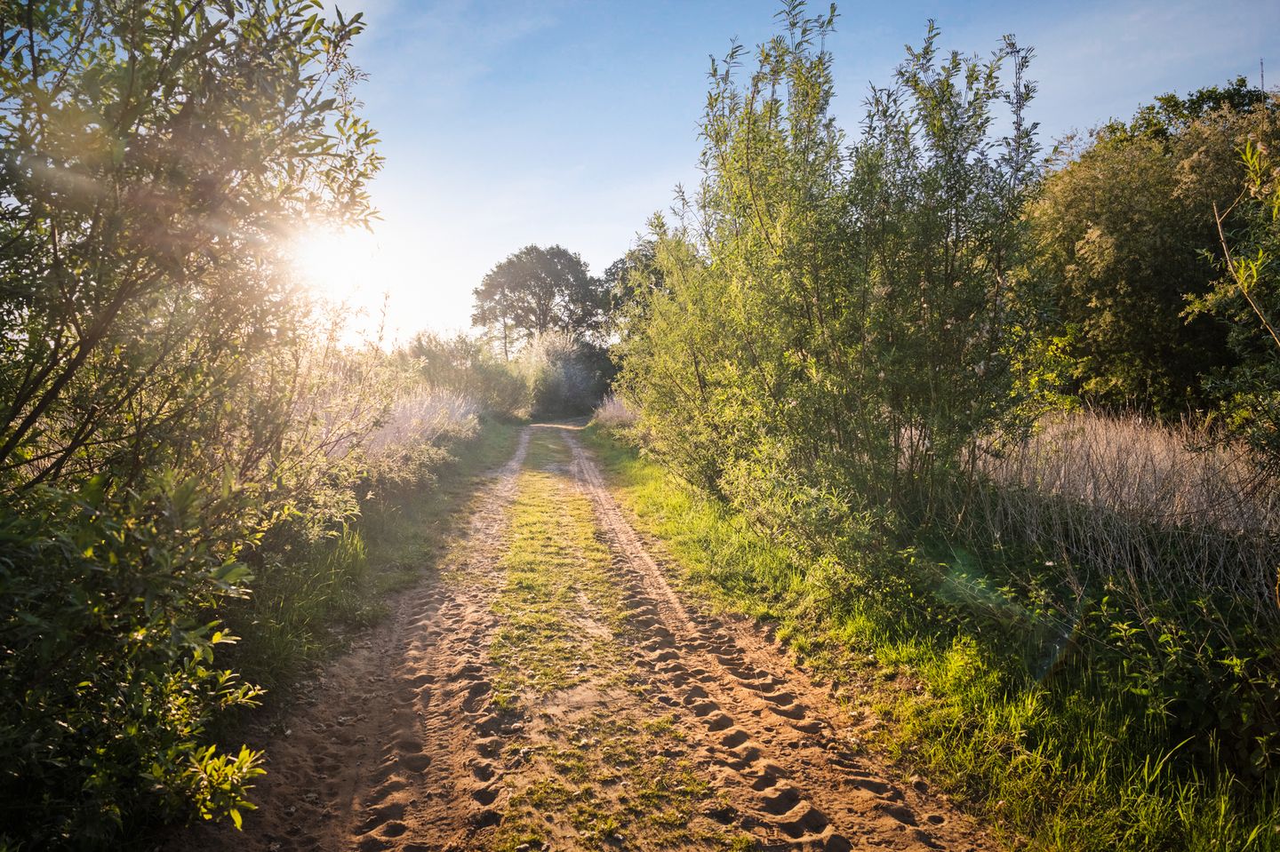 Foto 55 van Baarslagweg 2