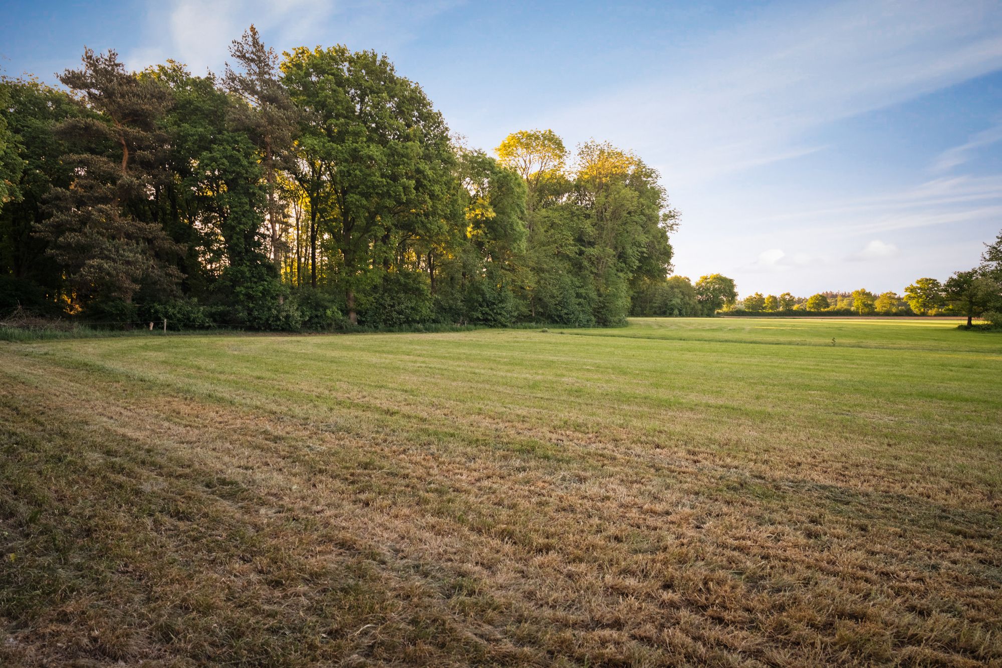 Foto 57 van Baarslagweg 2