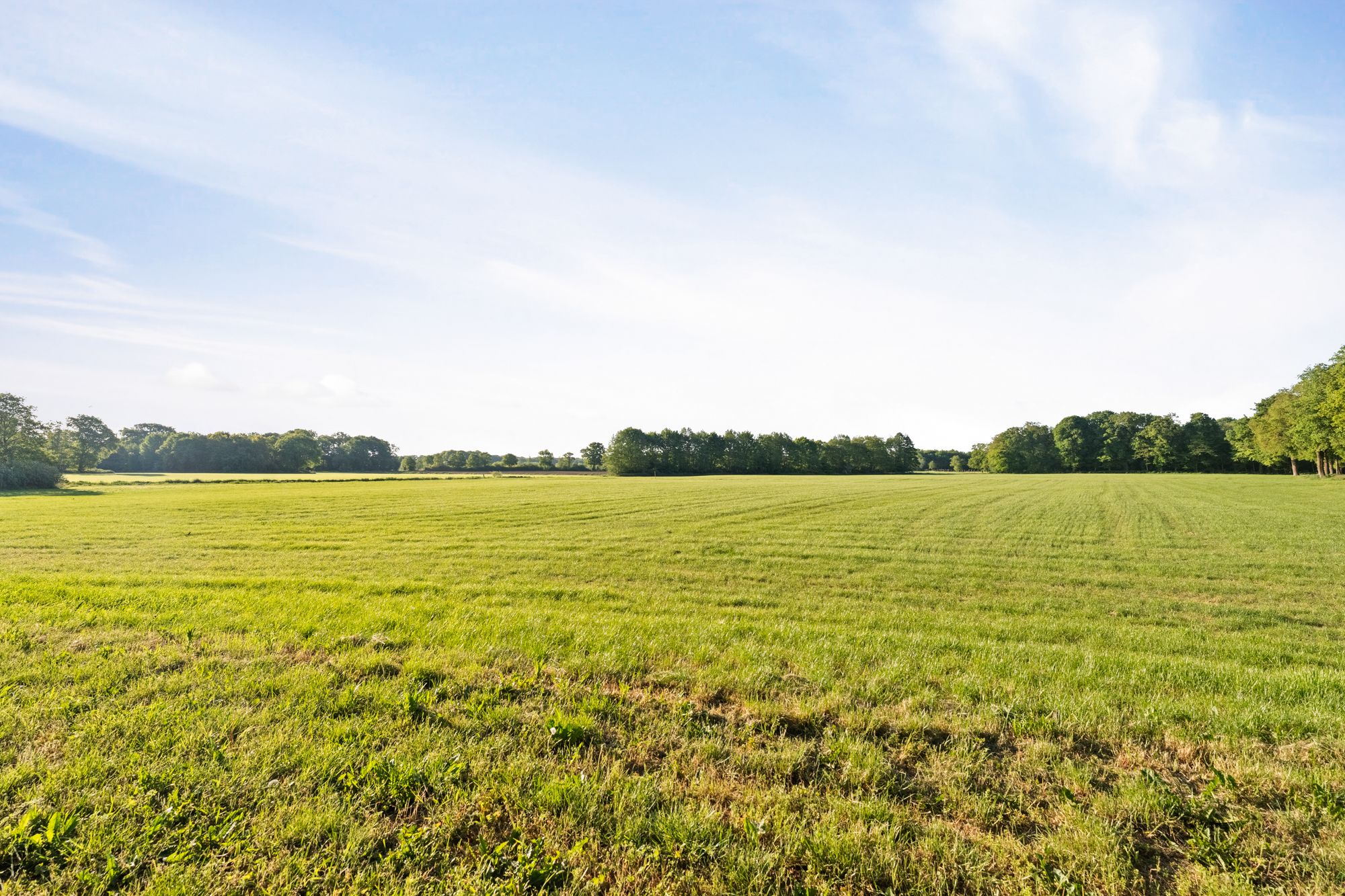 Foto 63 van Baarslagweg 2