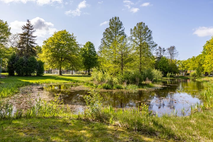 Foto 19 van Sterremuurweg 20