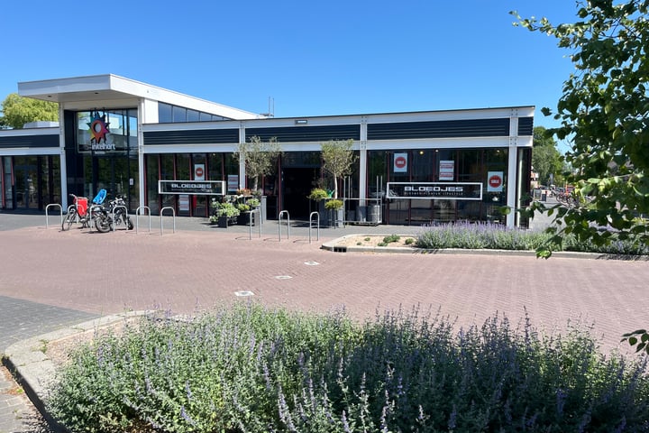 Faunastraat 88, Wormer