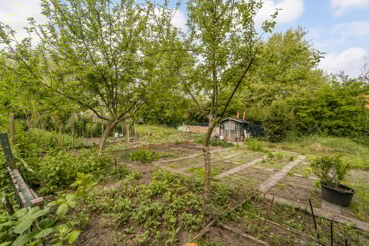 Foto 40 van Gandhilaan 31