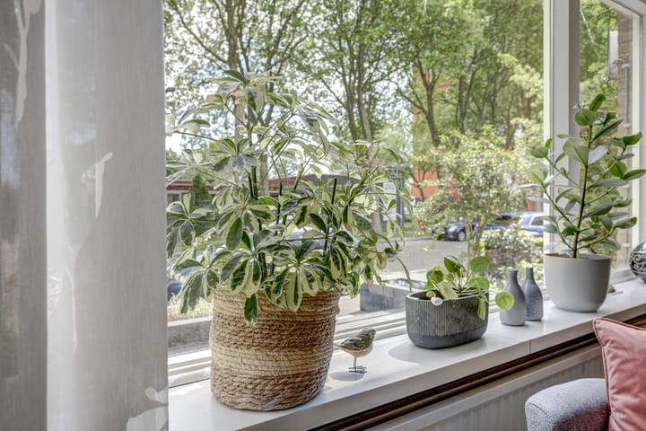 Foto 27 van Galileilaan 42