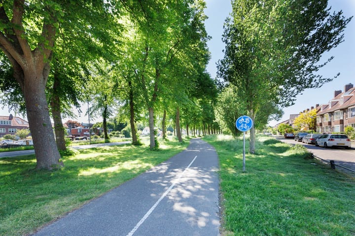 Foto 39 van Hartmanstraat 14