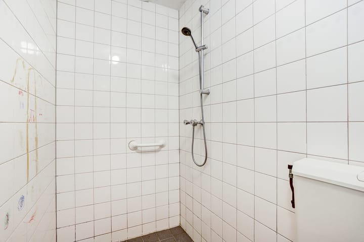 Foto 27 van Dahliastraat 60