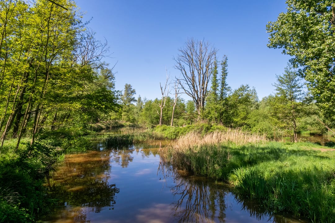 Foto 38 van Parallelweg 3