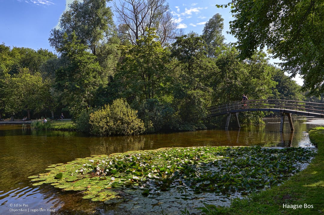 Foto 32 van Johannes Camphuijsstraat 163-F