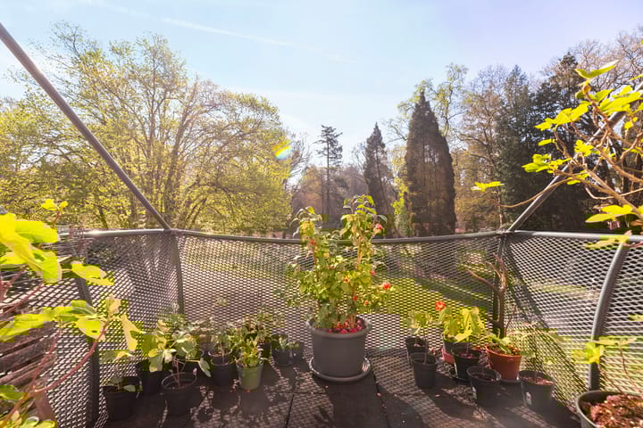 Foto 35 van Badhuislaan 45