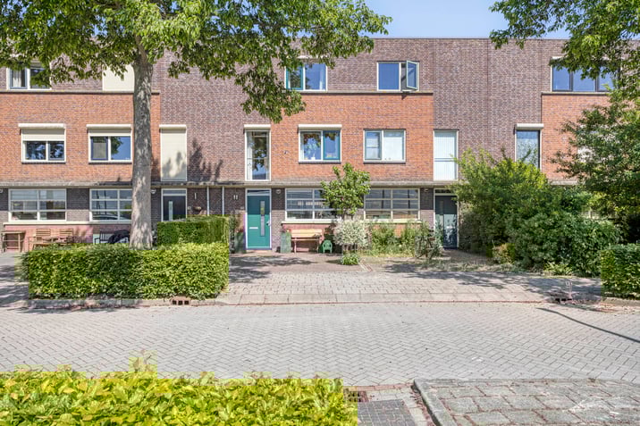undefined main image