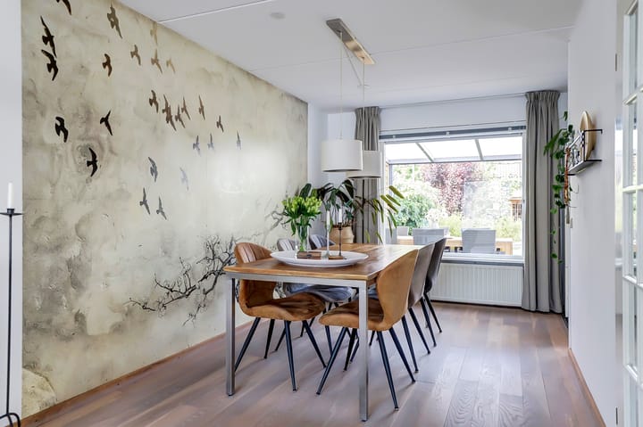 Foto 12 van Geison 6