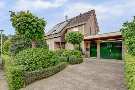 undefined main image