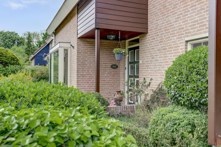 Foto 2 van de Timp 7