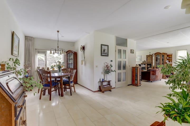 Foto 6 van de Timp 7