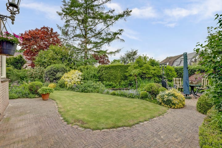 Foto 13 van de Timp 7