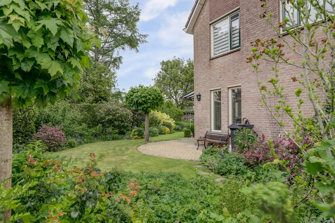 Foto 17 van de Timp 7