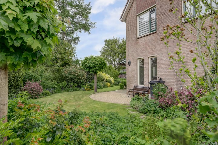 Foto 17 van de Timp 7