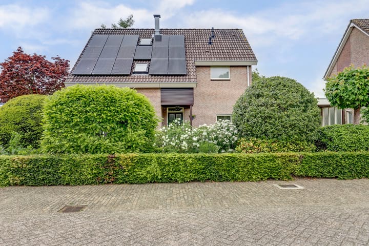 Foto 32 van de Timp 7