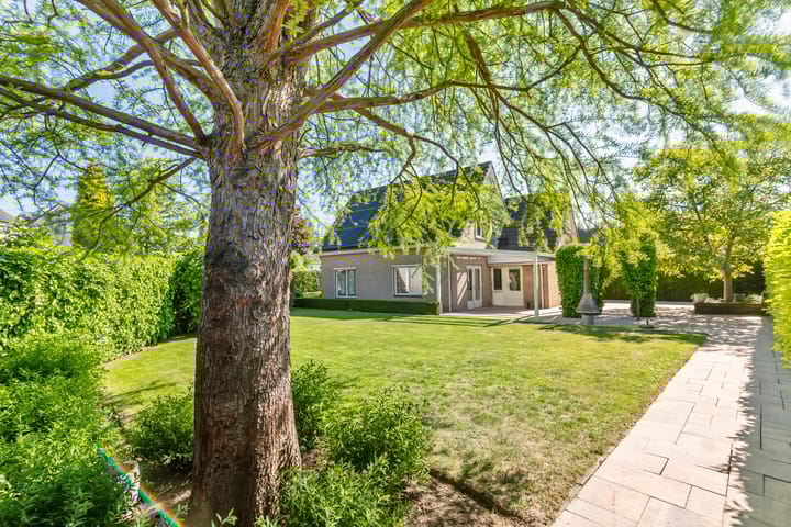 Foto 5 van Brederode 4