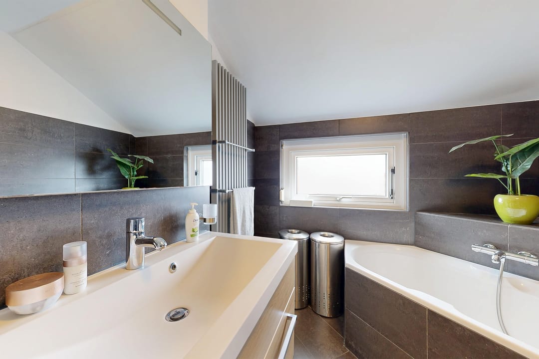 Foto 38 van Rosmolen 24