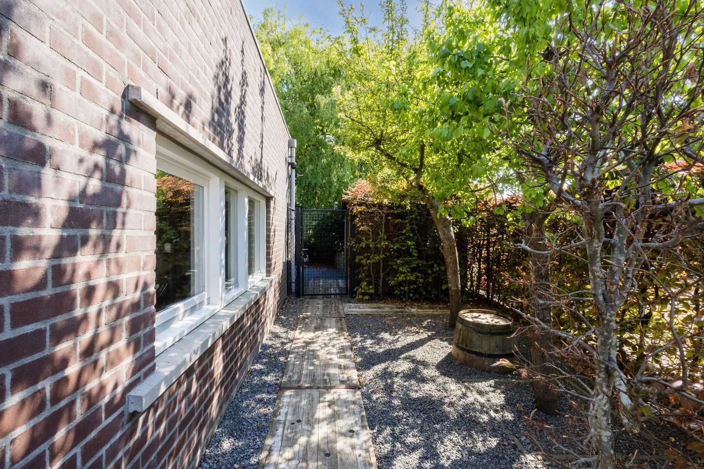 Foto 5 van Buizerd 14