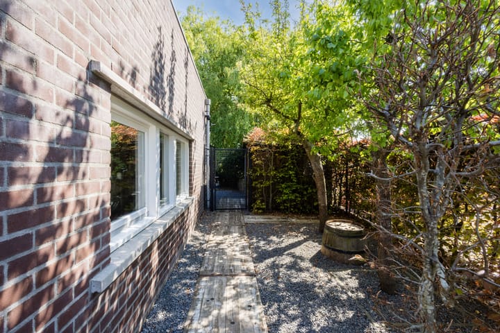 Photo 5 of Buizerd 14