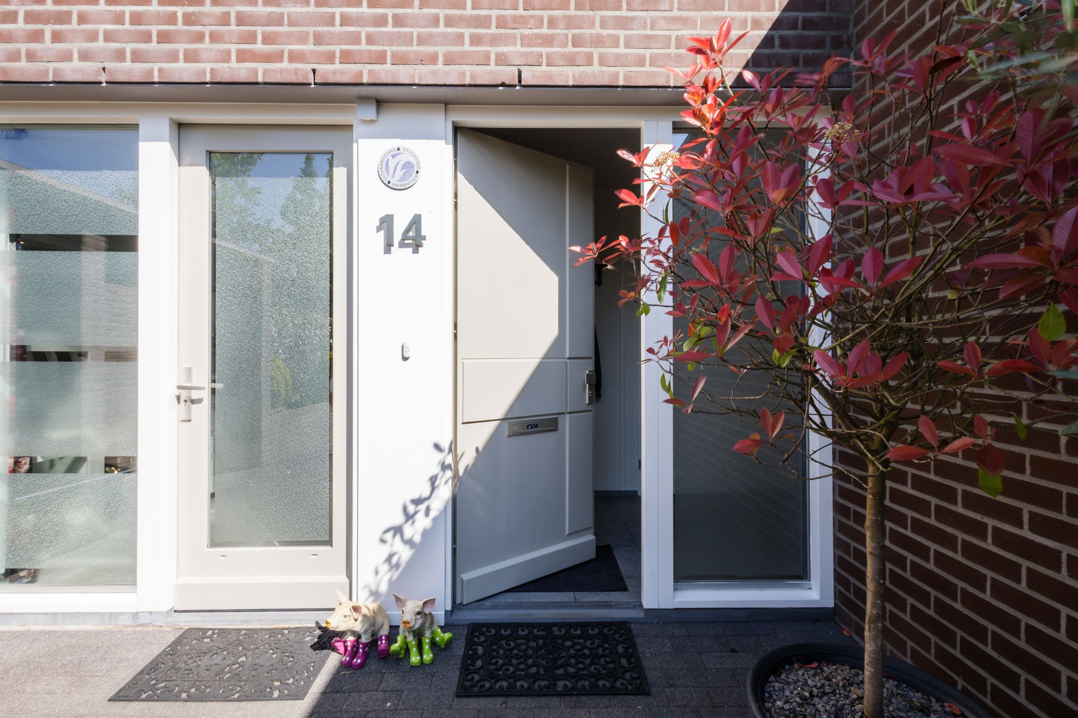 Foto 6 van Buizerd 14