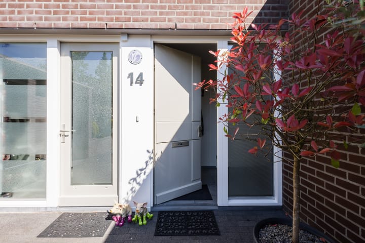 Photo 6 of Buizerd 14