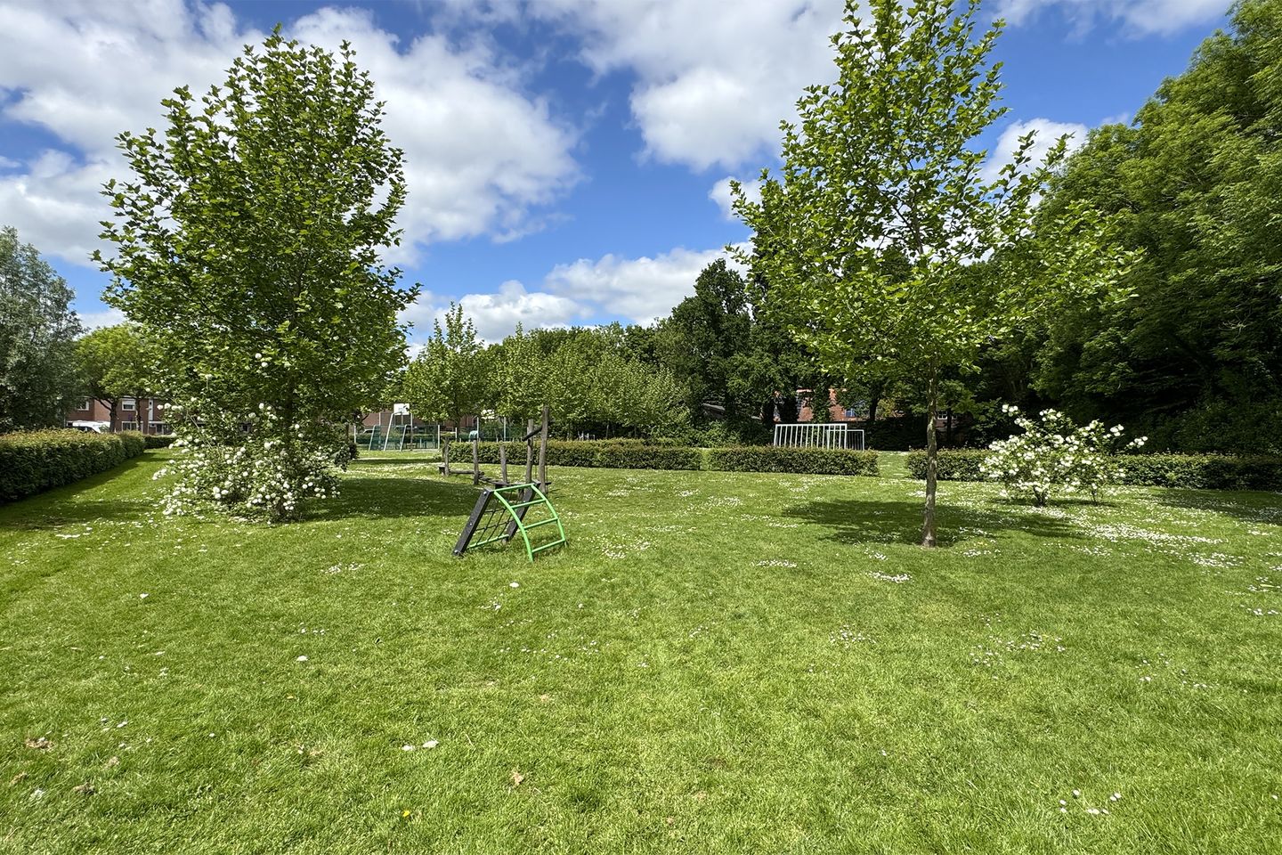 Foto 65 van Rosmolen 24