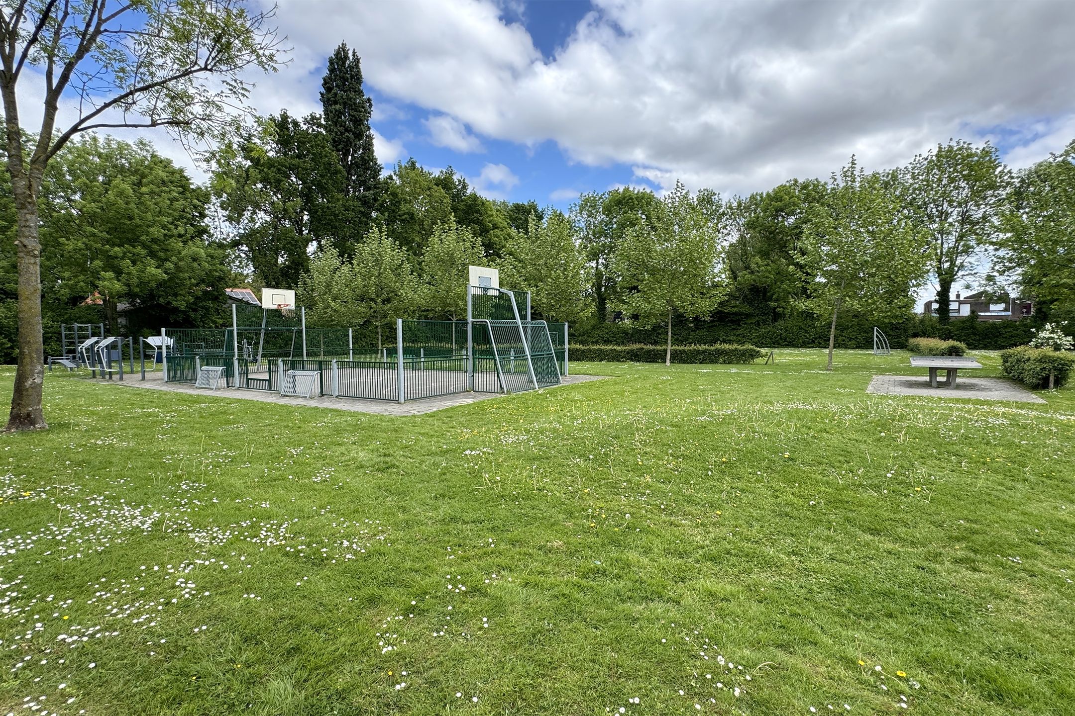 Foto 66 van Rosmolen 24