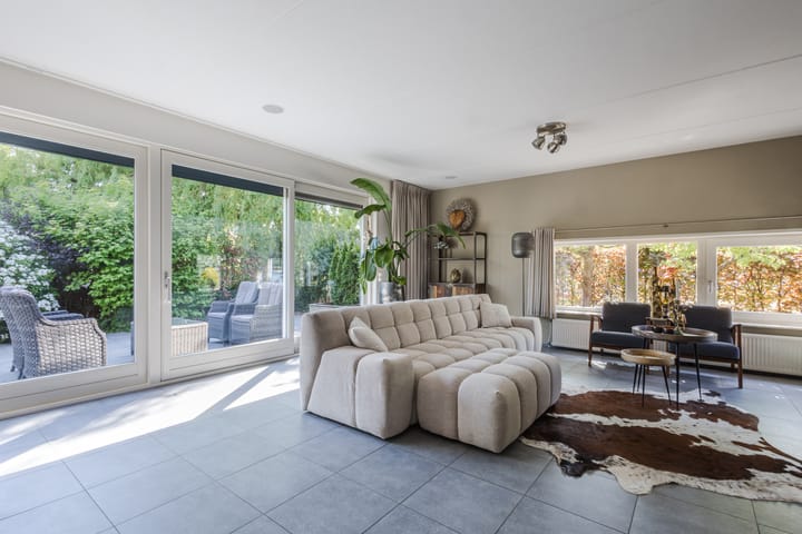 Photo 12 of Buizerd 14