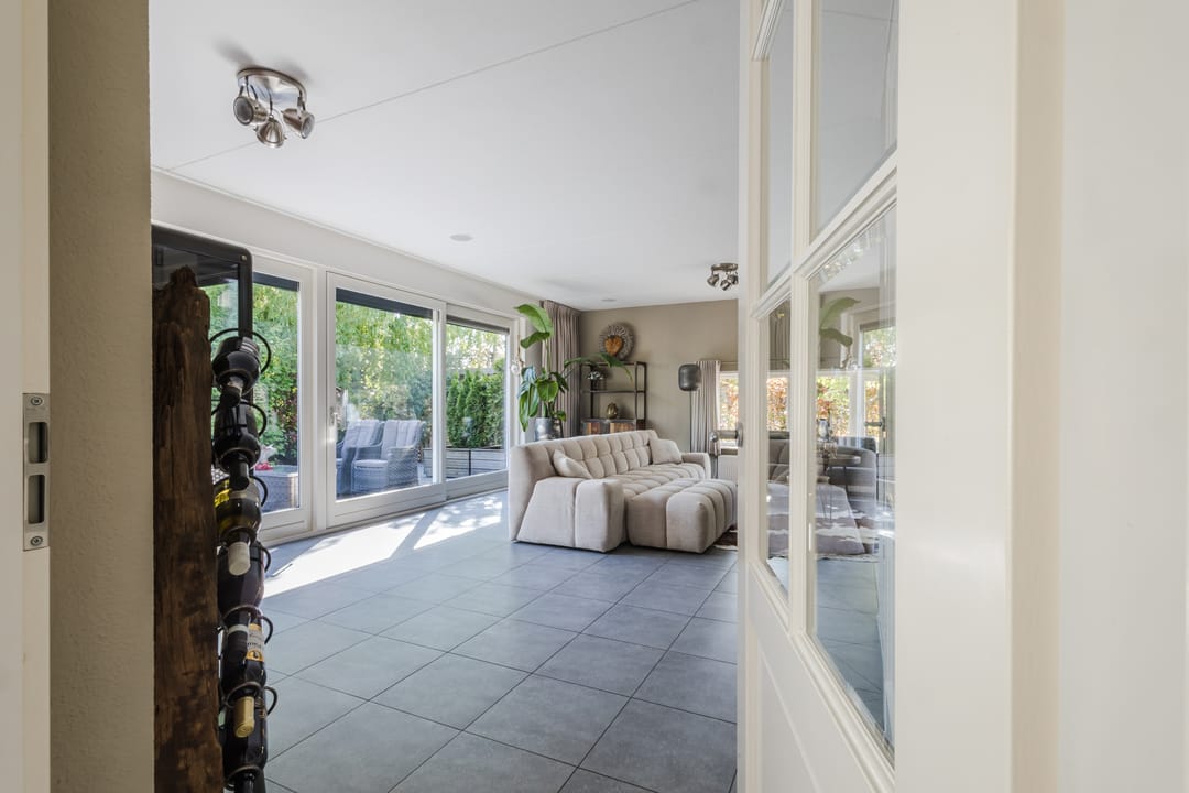 Foto 13 van Buizerd 14