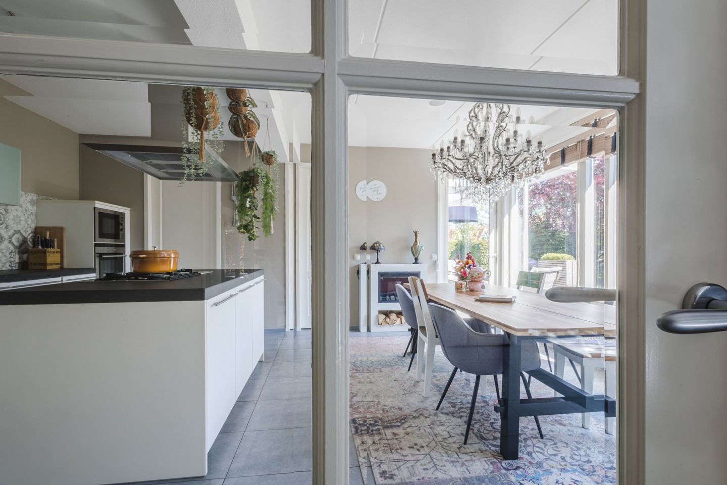 Foto 14 van Buizerd 14