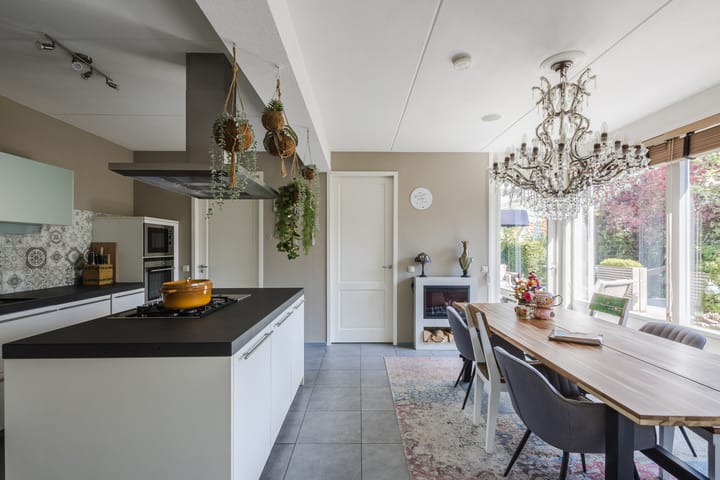 Photo 15 of Buizerd 14