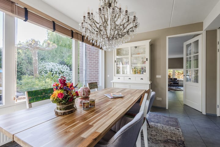 Photo 19 of Buizerd 14